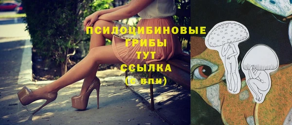 сатива Армянск