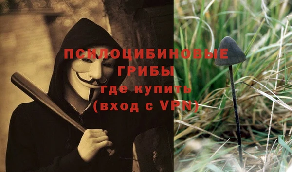 стафф Арсеньев