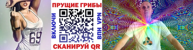 Псилоцибиновые грибы мицелий  Грязи 